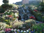 flower garden.JPG (181 KB)